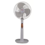 Royal Glamour TCP Fan